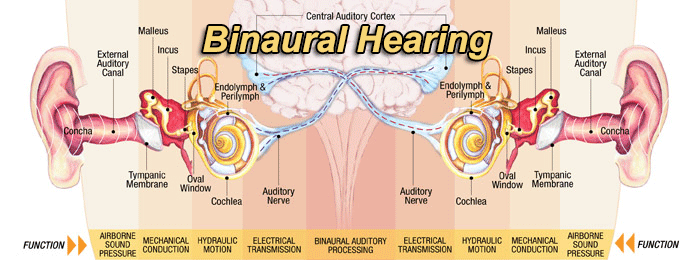 binaural hearing schematic
